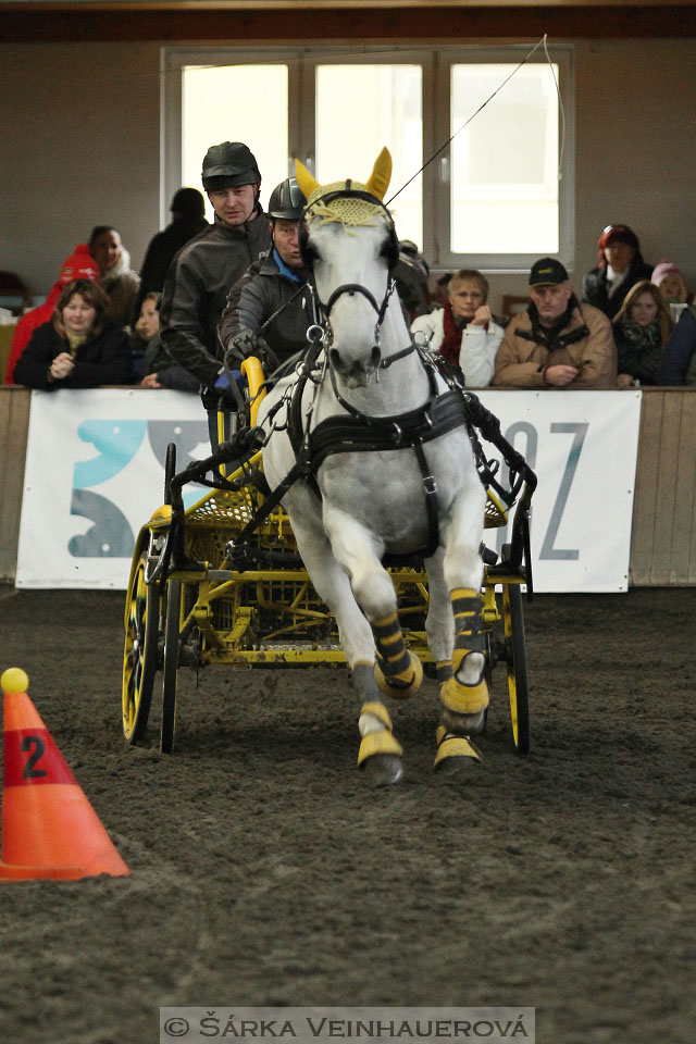 Zimní Jezdecký pohár spřežení 2016 - Hradištko