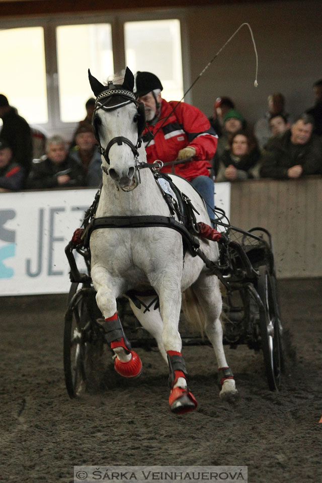 Zimní Jezdecký pohár spřežení 2016 - Hradištko