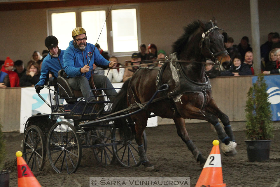 Zimní Jezdecký pohár spřežení 2016 - Hradištko