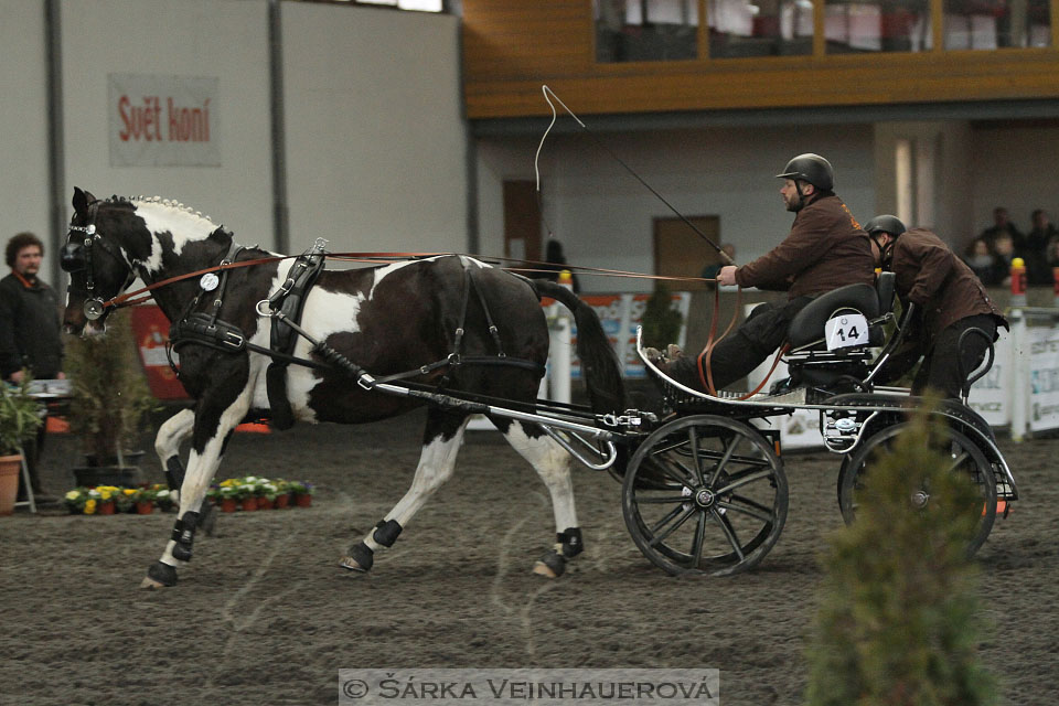 Zimní Jezdecký pohár spřežení 2016 - Hradištko