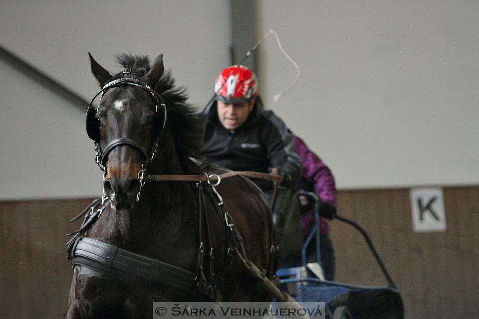 Zimní Jezdecký pohár spřežení 2016 - Hradištko