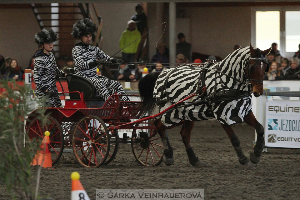 Zimní Jezdecký pohár spřežení 2016 - Hradištko