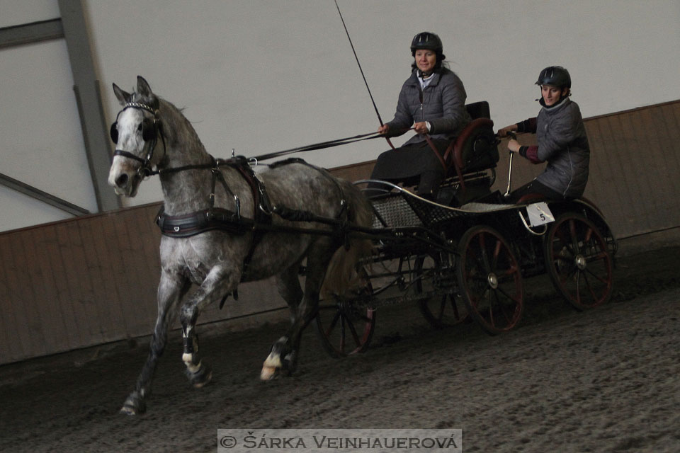 Zimní Jezdecký pohár spřežení 2016 - Hradištko