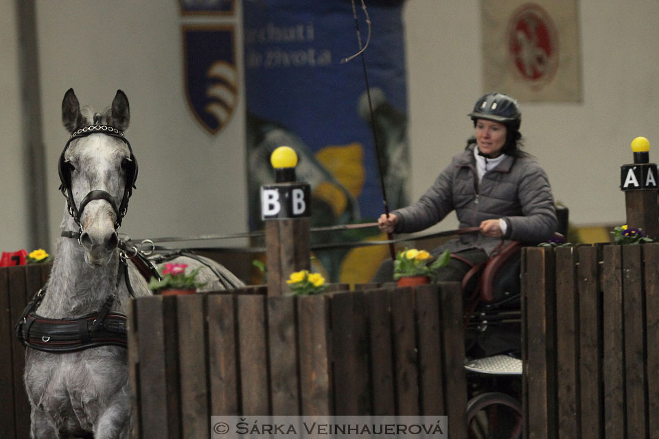 Zimní Jezdecký pohár spřežení 2016 - Hradištko