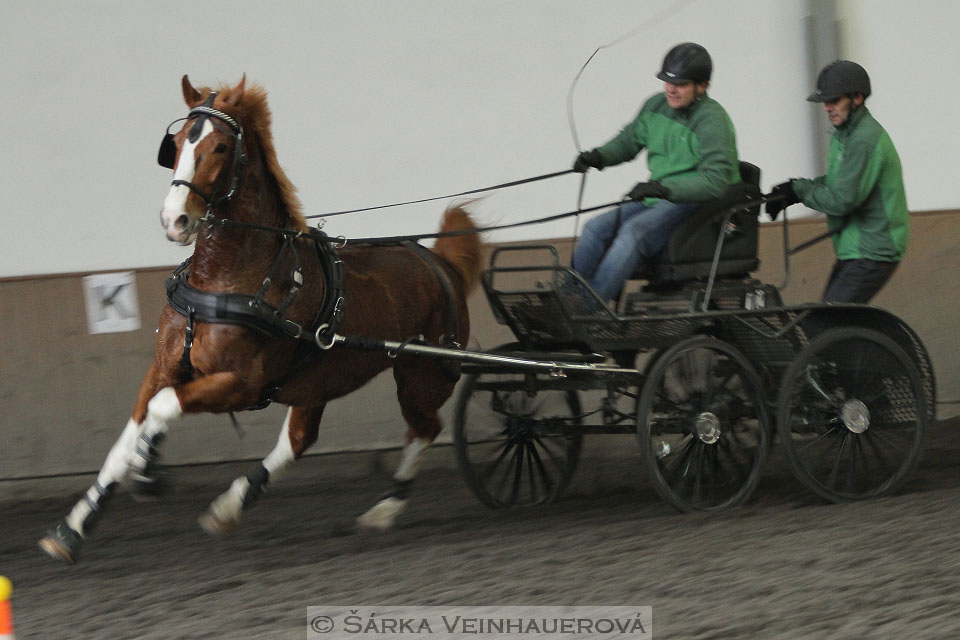 Zimní Jezdecký pohár spřežení 2016 - Hradištko