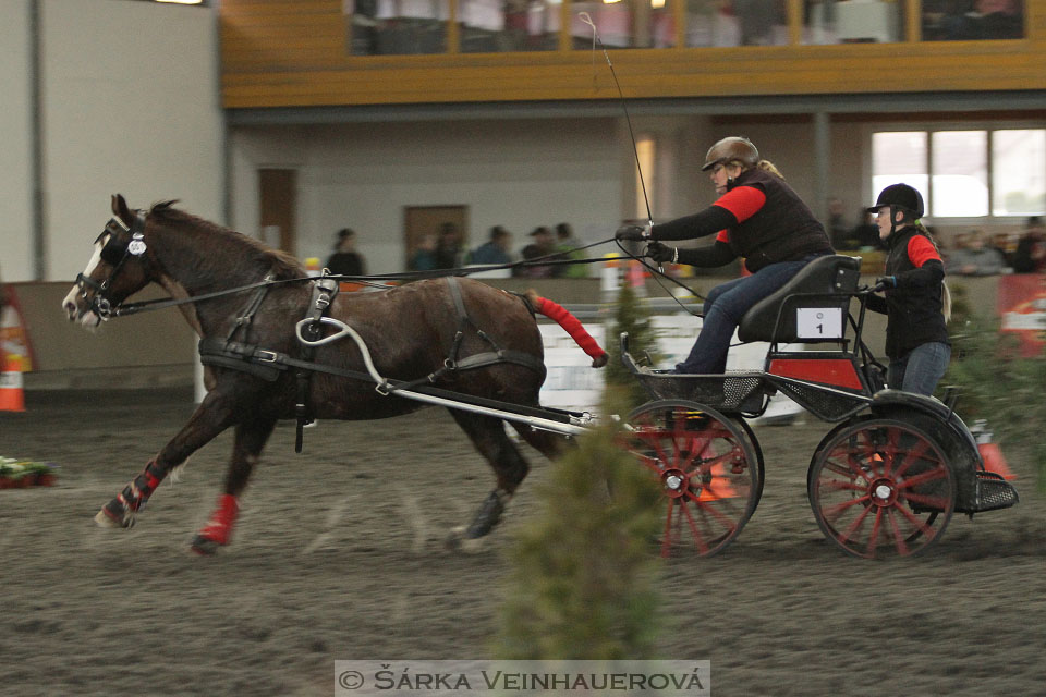 Zimní Jezdecký pohár spřežení 2016 - Hradištko