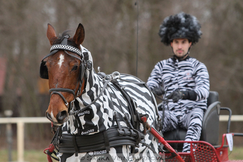 Zimní Jezdecký pohár spřežení 2016 - Hradištko