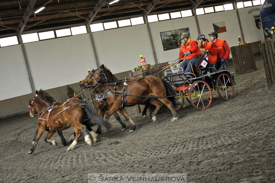 Zimní Jezdecký pohár spřežení 2016 - Hradištko