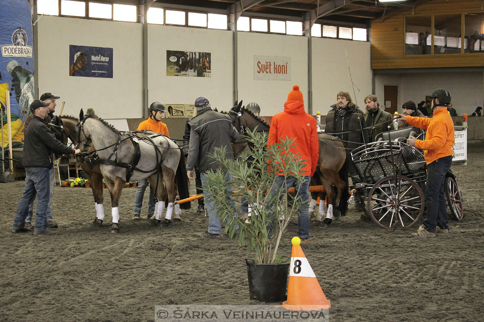 Zimní Jezdecký pohár spřežení 2016 - Hradištko