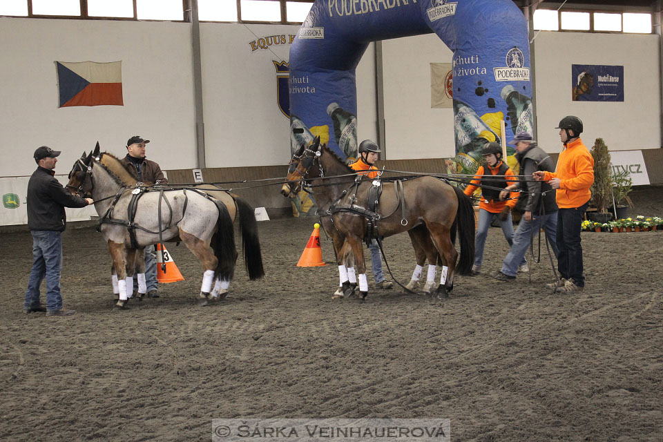 Zimní Jezdecký pohár spřežení 2016 - Hradištko