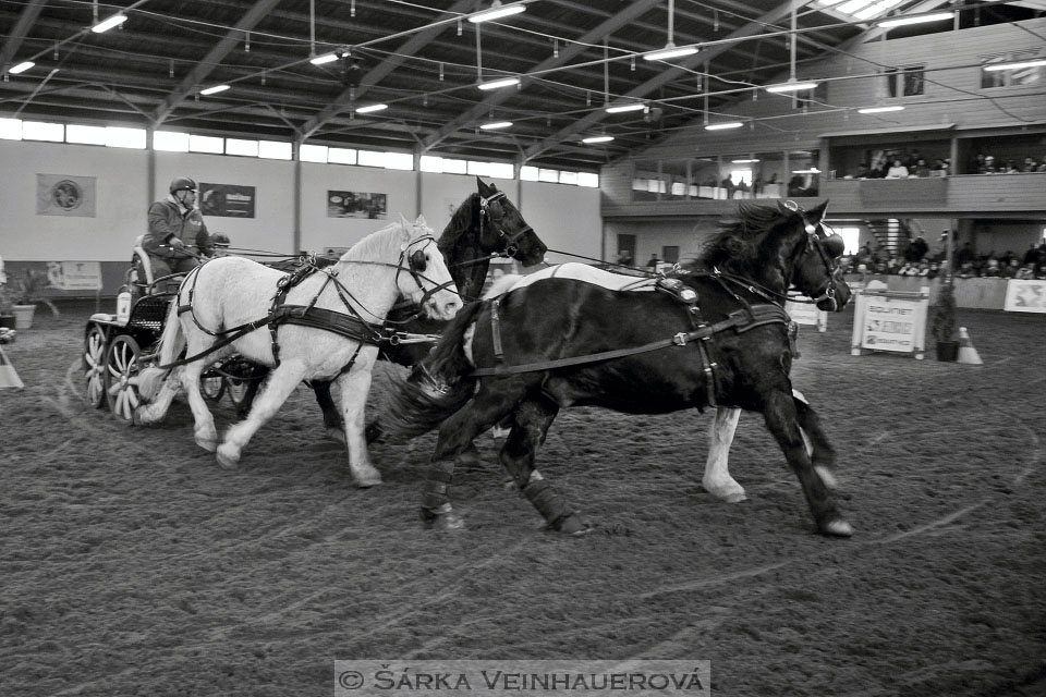 Zimní Jezdecký pohár spřežení 2016 - Hradištko