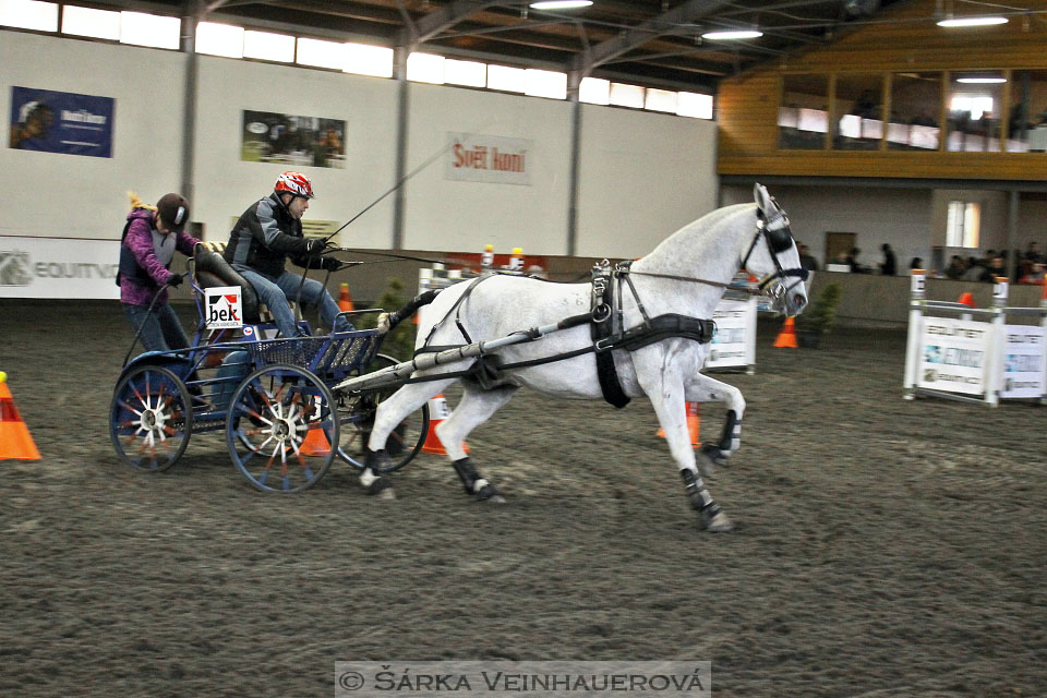 Zimní Jezdecký pohár spřežení 2016 - Hradištko