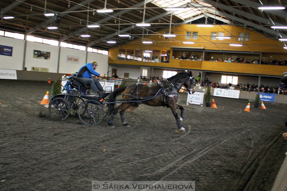 Zimní Jezdecký pohár spřežení 2016 - Hradištko