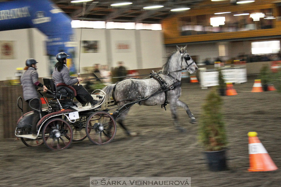 Zimní Jezdecký pohár spřežení 2016 - Hradištko