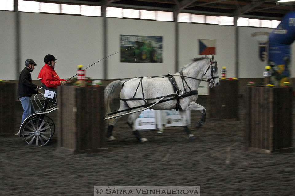 Zimní Jezdecký pohár spřežení 2016 - Hradištko