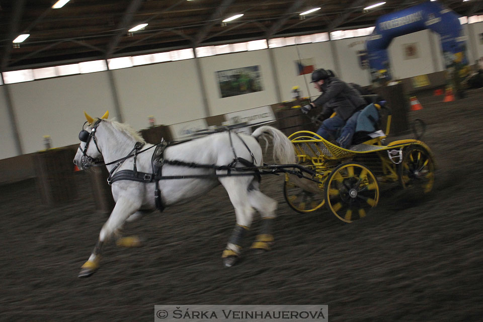 Zimní Jezdecký pohár spřežení 2016 - Hradištko