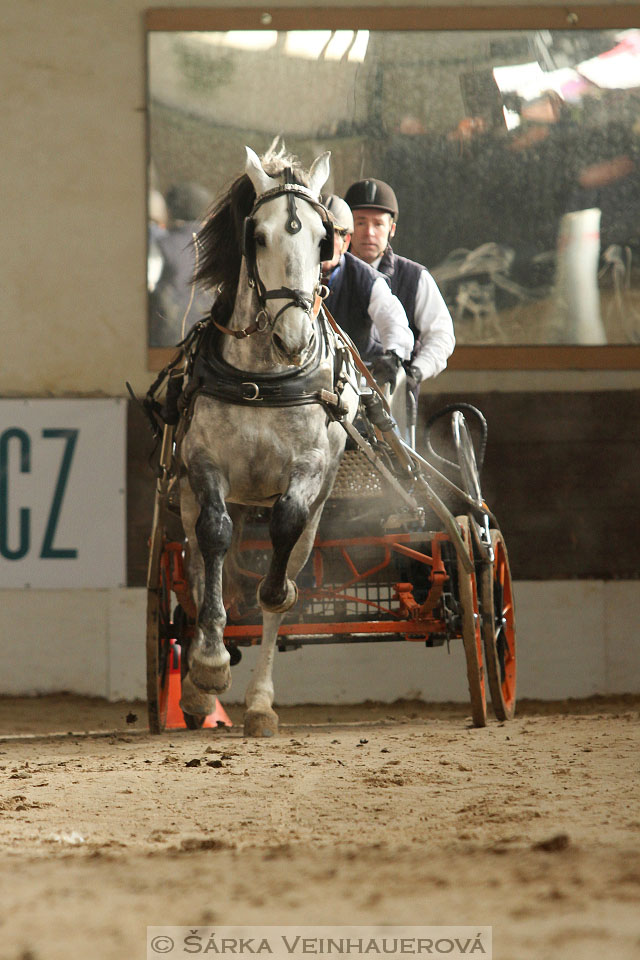 Zimní Jezdecký pohár spřežení 2016 - Slatiňany