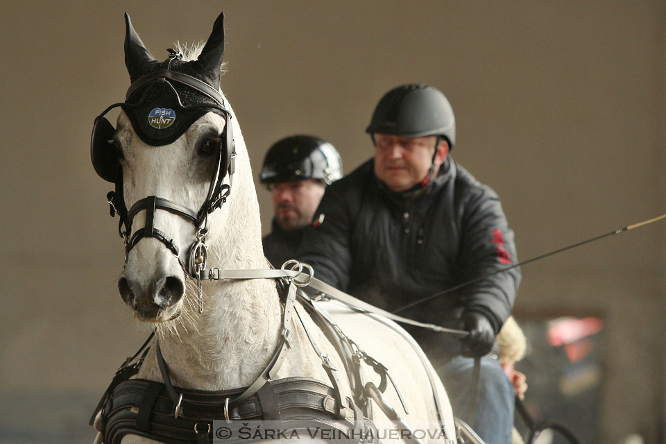 Zimní Jezdecký pohár spřežení 2016 - Slatiňany