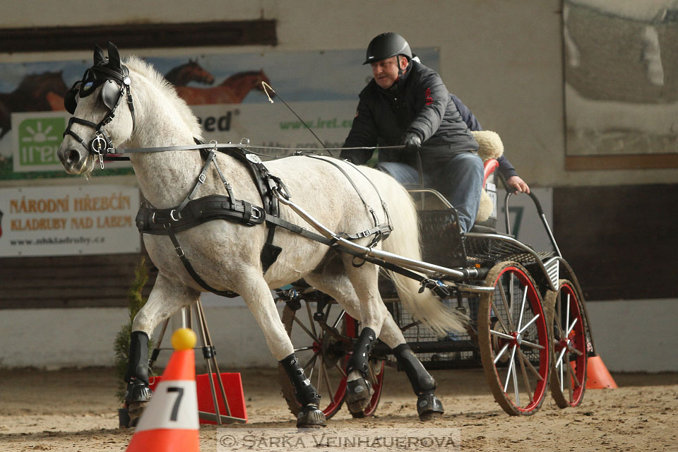 Zimní Jezdecký pohár spřežení 2016 - Slatiňany