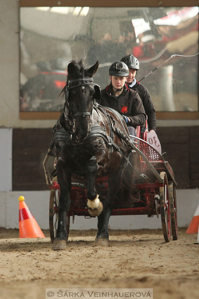 Zimní Jezdecký pohár spřežení 2016 - Slatiňany