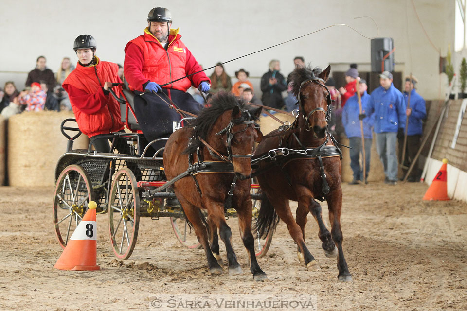 Zimní Jezdecký pohár spřežení 2016 - Slatiňany