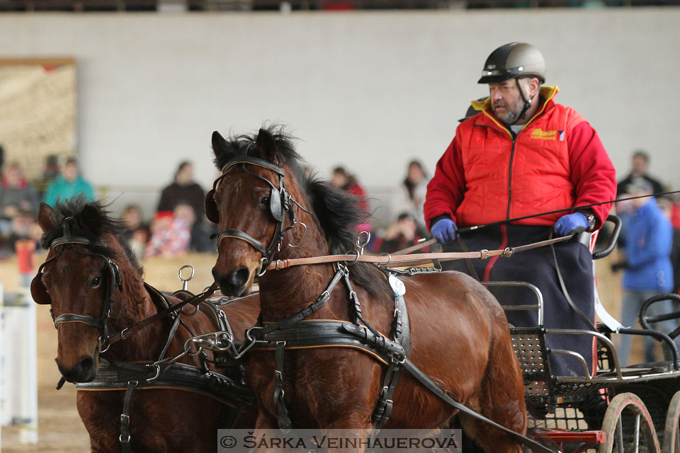 Zimní Jezdecký pohár spřežení 2016 - Slatiňany