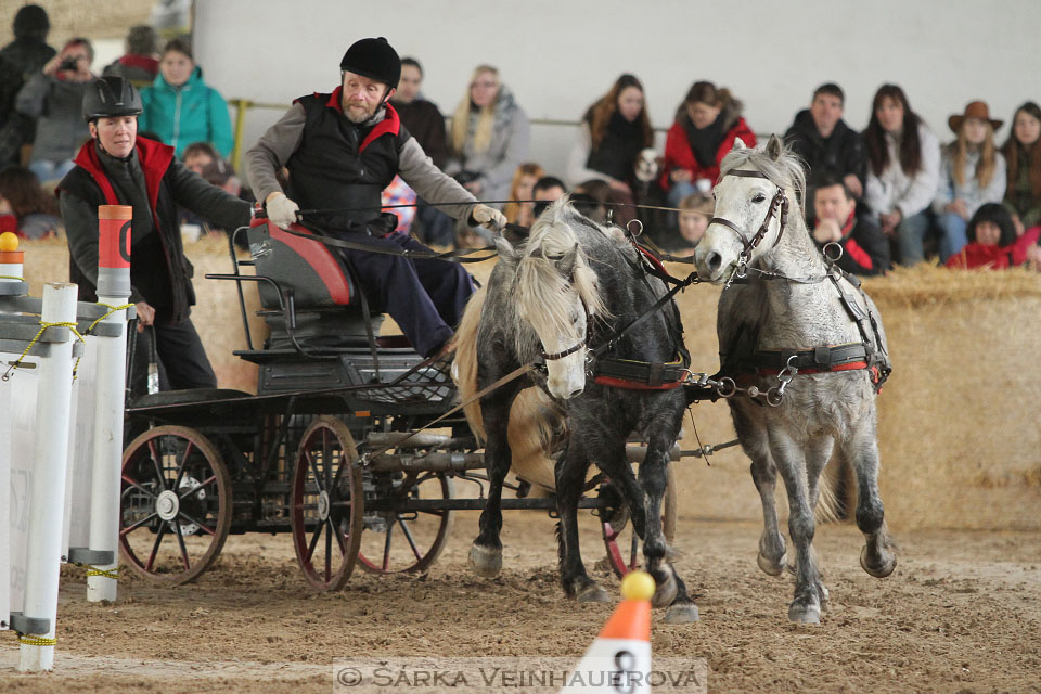 Zimní Jezdecký pohár spřežení 2016 - Slatiňany