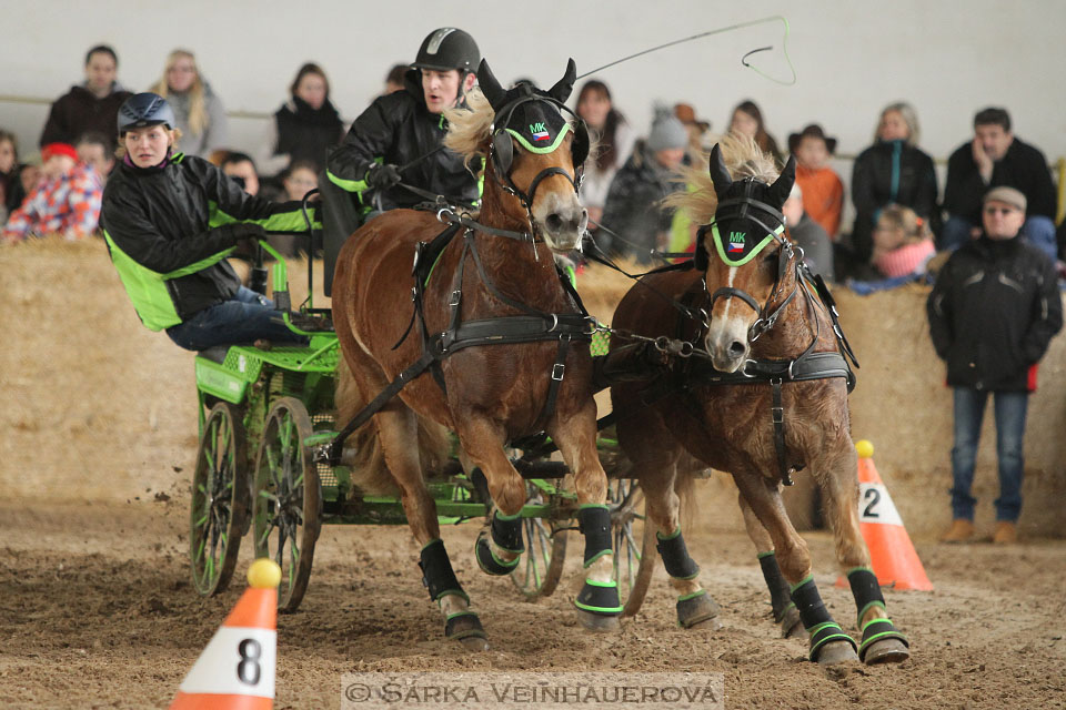 Zimní Jezdecký pohár spřežení 2016 - Slatiňany