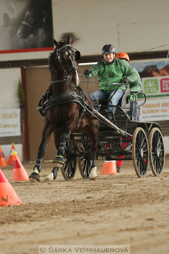 Zimní Jezdecký pohár spřežení 2016 - Slatiňany