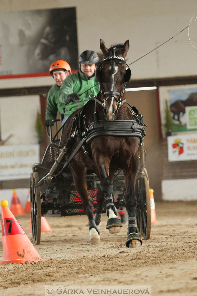 Zimní Jezdecký pohár spřežení 2016 - Slatiňany