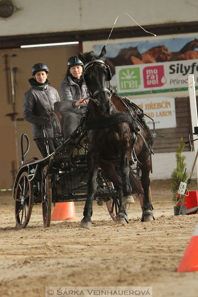 Zimní Jezdecký pohár spřežení 2016 - Slatiňany