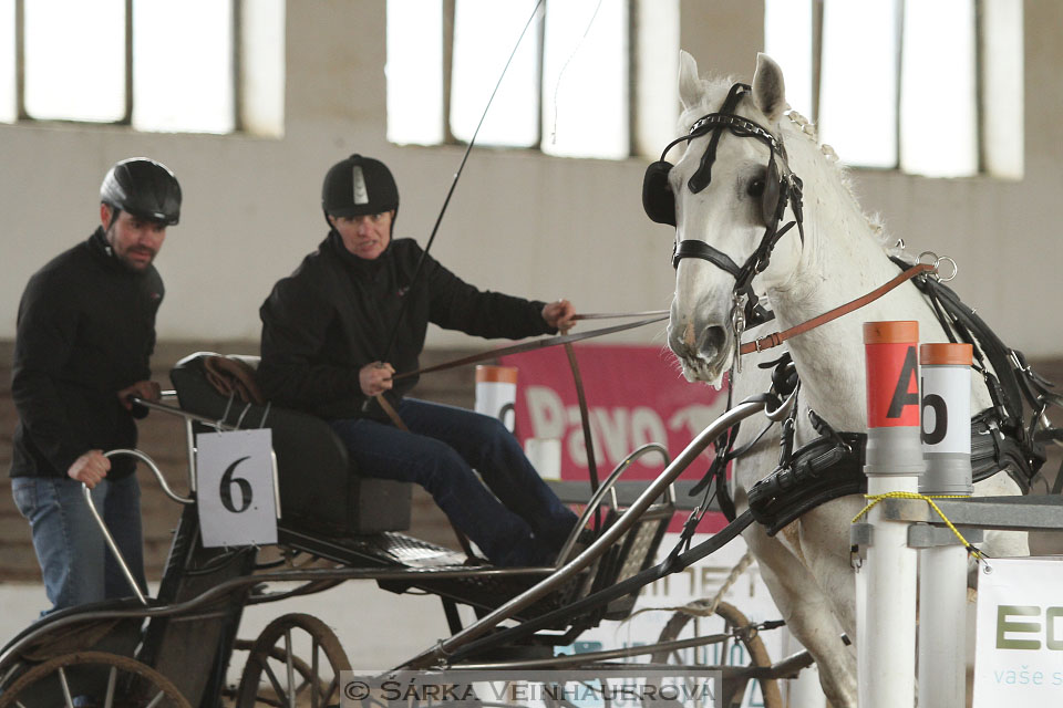 Zimní Jezdecký pohár spřežení 2016 - Slatiňany