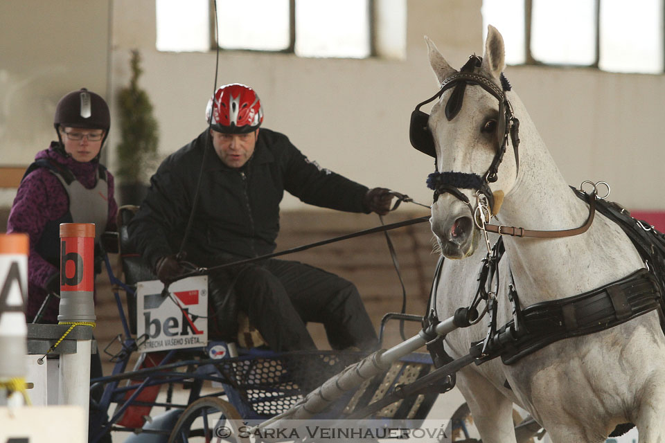 Zimní Jezdecký pohár spřežení 2016 - Slatiňany