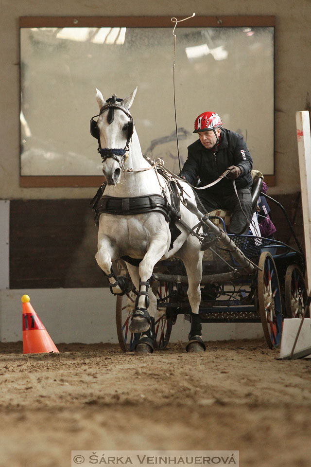 Zimní Jezdecký pohár spřežení 2016 - Slatiňany