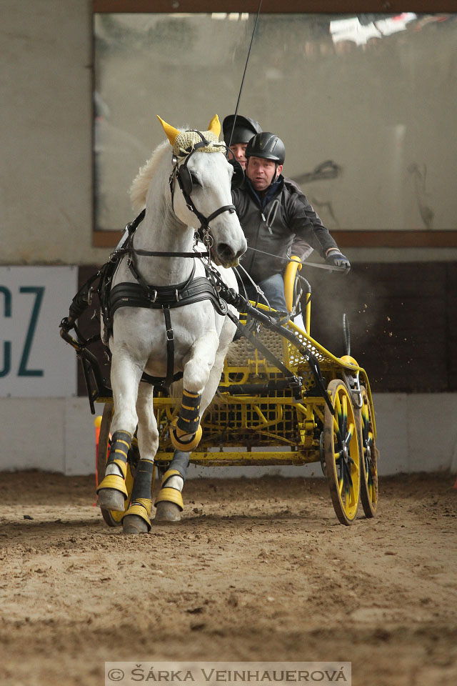 Zimní Jezdecký pohár spřežení 2016 - Slatiňany