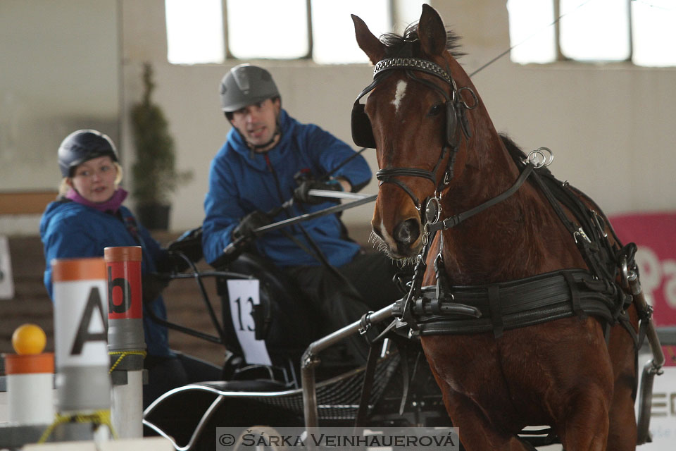 Zimní Jezdecký pohár spřežení 2016 - Slatiňany