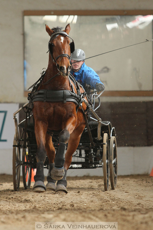 Zimní Jezdecký pohár spřežení 2016 - Slatiňany