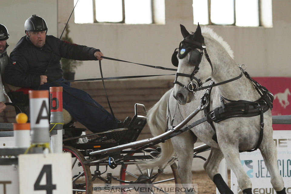 Zimní Jezdecký pohár spřežení 2016 - Slatiňany