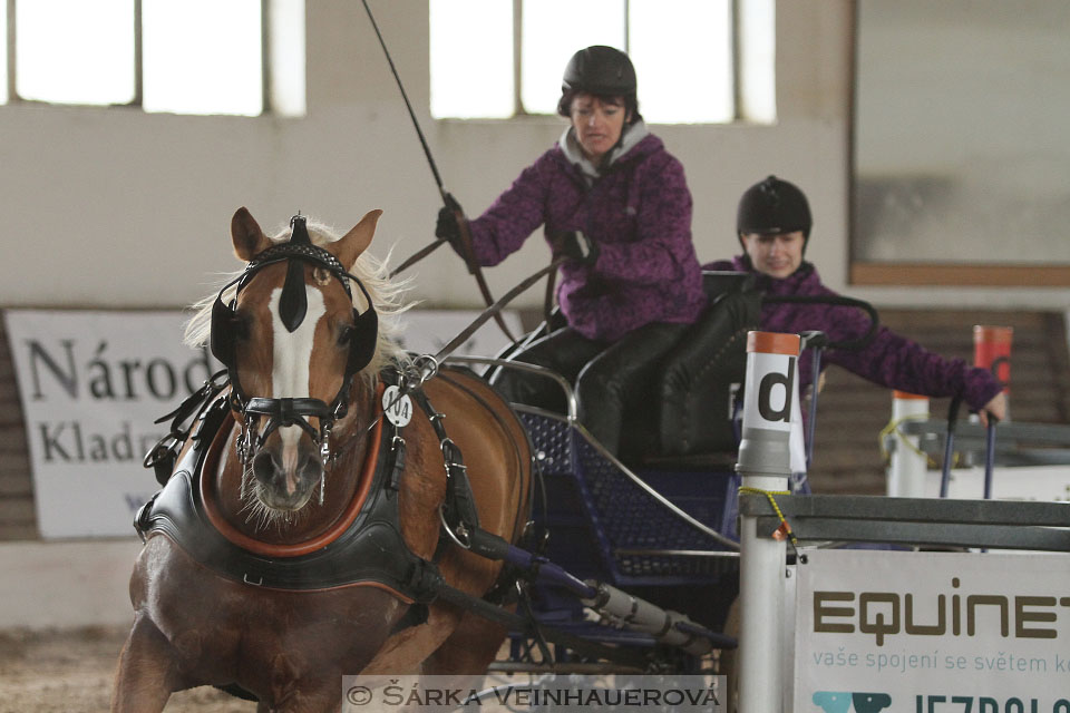 Zimní Jezdecký pohár spřežení 2016 - Slatiňany