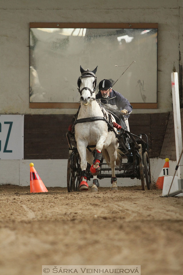 Zimní Jezdecký pohár spřežení 2016 - Slatiňany