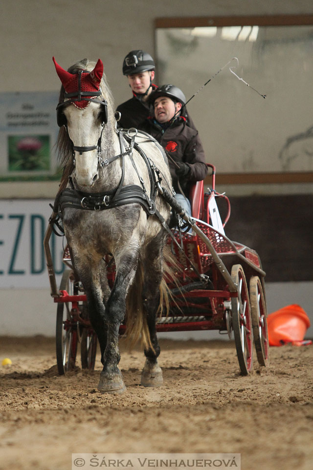 Zimní Jezdecký pohár spřežení 2016 - Slatiňany