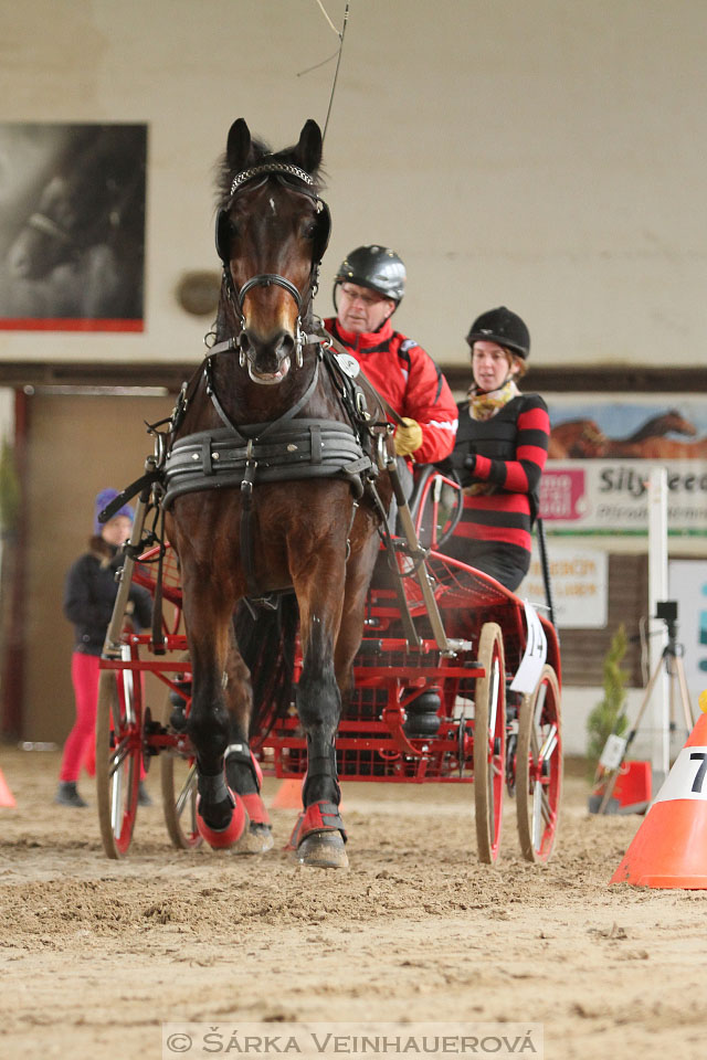 Zimní Jezdecký pohár spřežení 2016 - Slatiňany