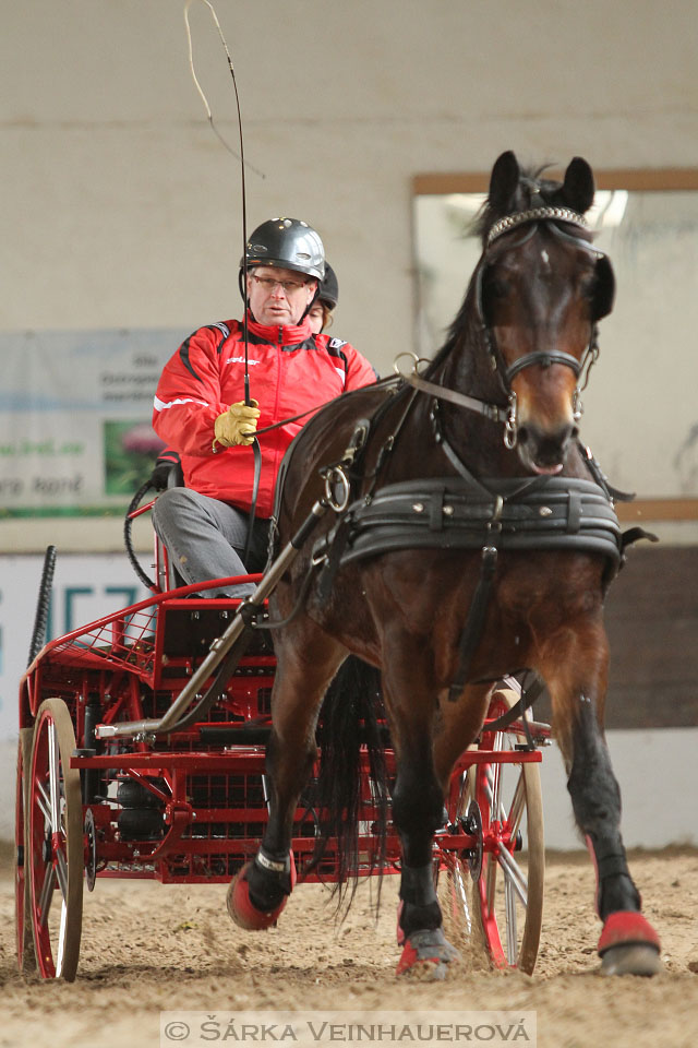 Zimní Jezdecký pohár spřežení 2016 - Slatiňany