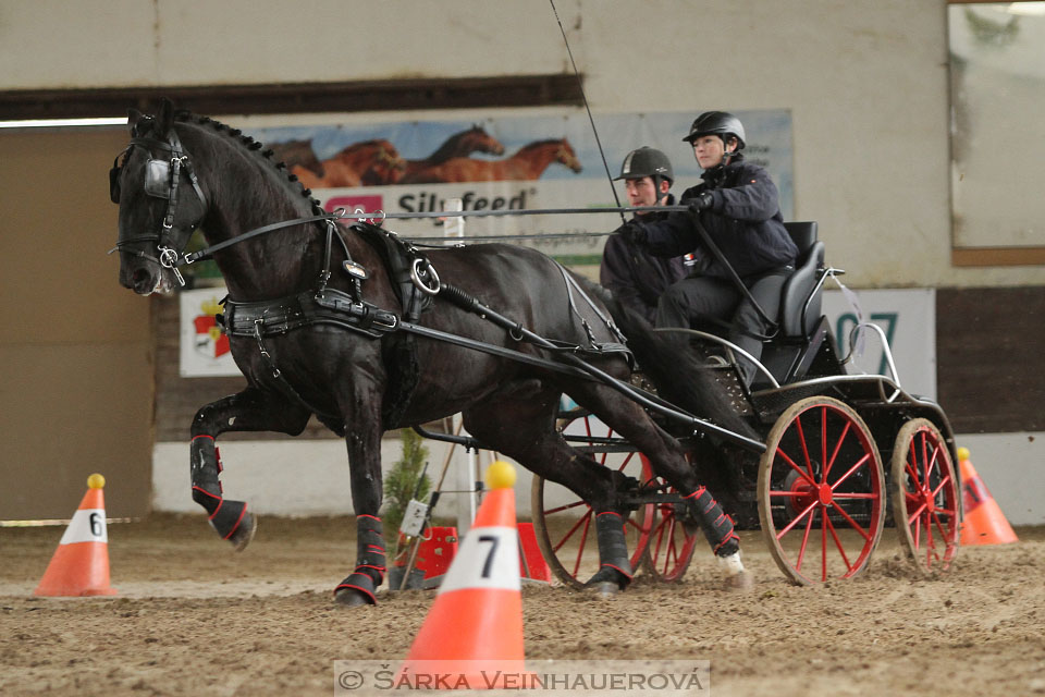 Zimní Jezdecký pohár spřežení 2016 - Slatiňany