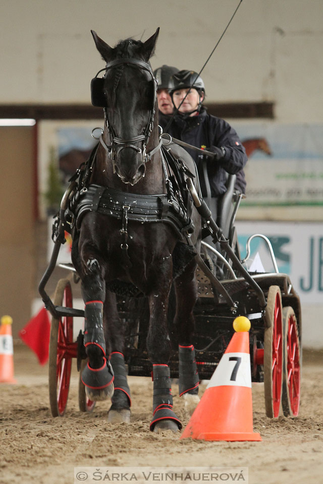 Zimní Jezdecký pohár spřežení 2016 - Slatiňany