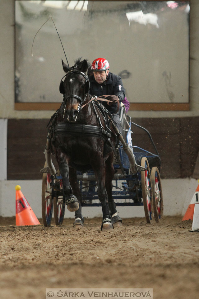 Zimní Jezdecký pohár spřežení 2016 - Slatiňany