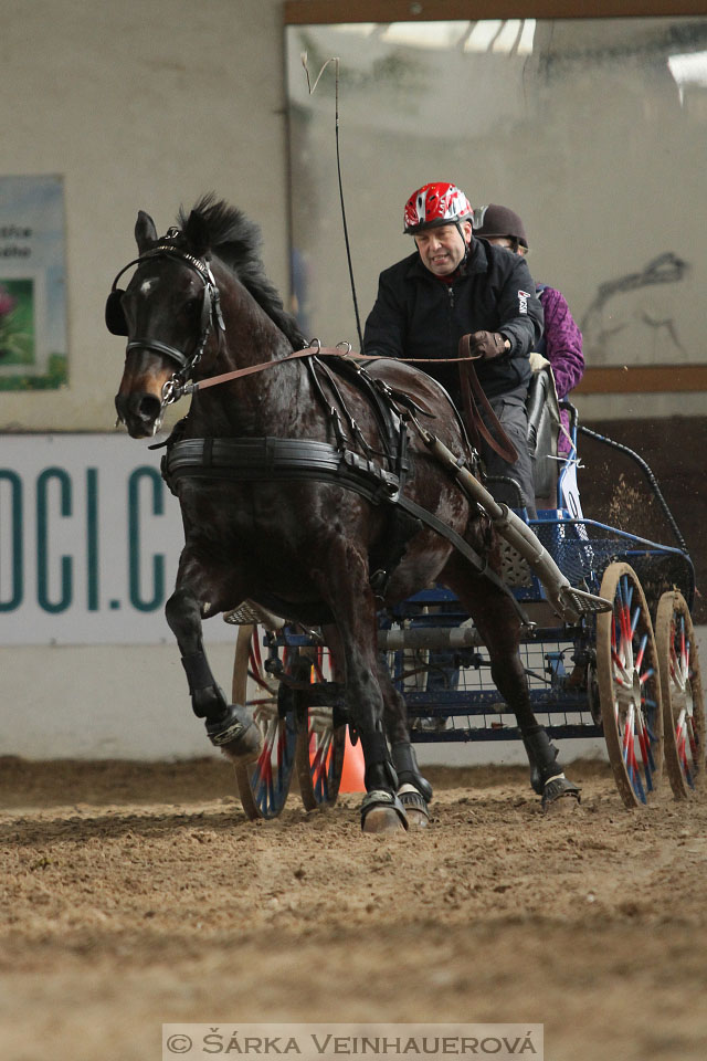 Zimní Jezdecký pohár spřežení 2016 - Slatiňany