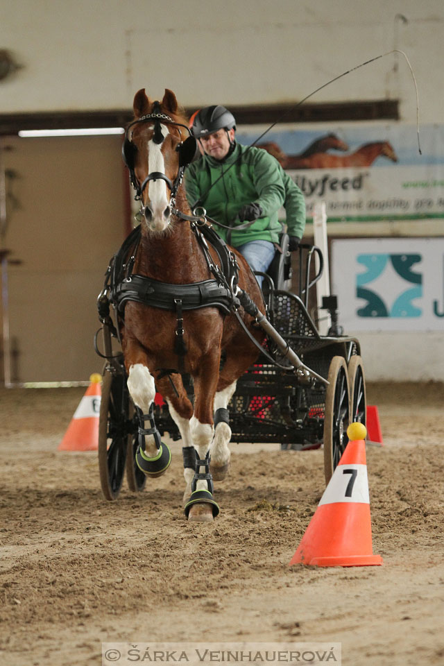 Zimní Jezdecký pohár spřežení 2016 - Slatiňany