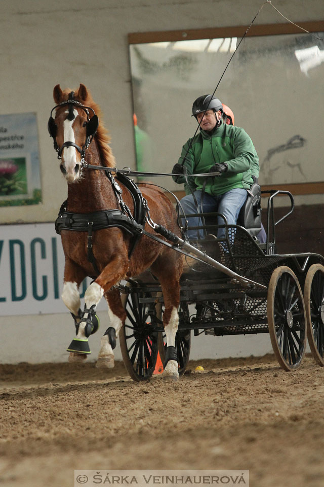 Zimní Jezdecký pohár spřežení 2016 - Slatiňany