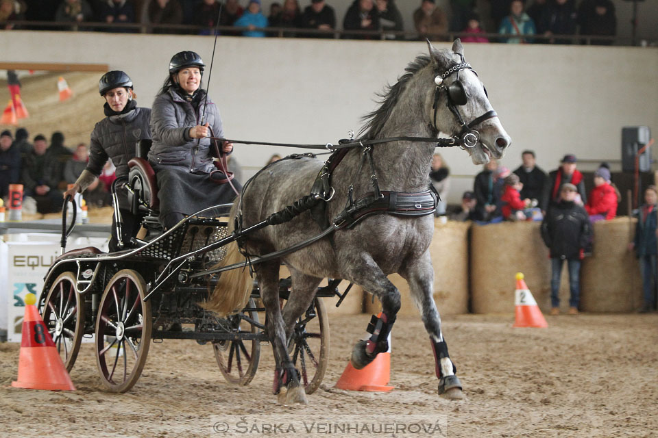 Zimní Jezdecký pohár spřežení 2016 - Slatiňany